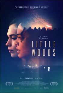 دانلود فیلم Little Woods 201822292-1676102339