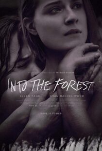 دانلود فیلم Into the Forest 20159776-2035597945