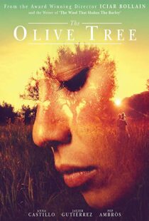 دانلود فیلم The Olive Tree 201615934-1880387821