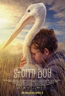 دانلود فیلم Storm Boy 20199003-256033513