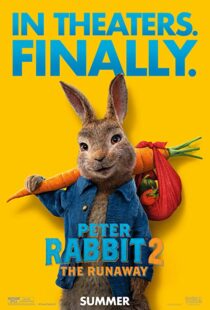 دانلود انیمیشن Peter Rabbit 2: The Runaway 202168072-332964050