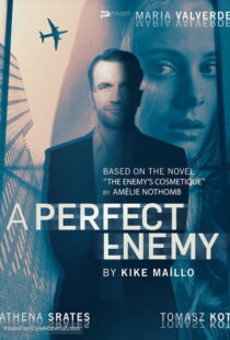 دانلود فیلم A Perfect Enemy 202082295-160462912