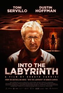 دانلود فیلم Into the Labyrinth 201991141-864966045