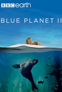 دانلود مستند Blue Planet II100194-153129532