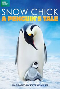 دانلود مستند Snow Chick: A Penguin’s Tale 2015109604-1537322348