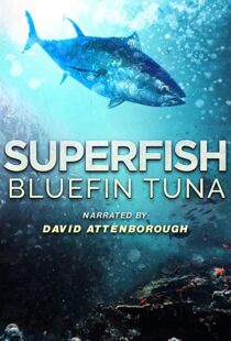 دانلود مستند Superfish Bluefin Tuna 2012101607-279409996