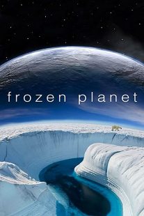 دانلود مستند Frozen Planet229350-705162971