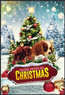 دانلود فیلم Project: Puppies for Christmas 2019390454-1728356873