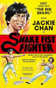 دانلود فیلم Snake Fist Fighter 1973388650-724853275