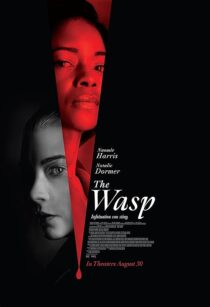 دانلود فیلم The Wasp 2024411027-1287957000