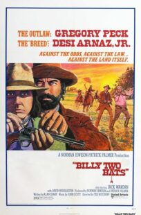 دانلود فیلم Billy Two Hats 1974411057-684677417