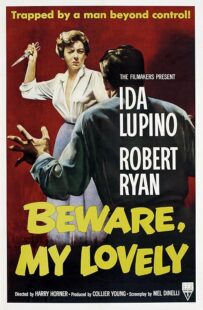 دانلود فیلم Beware, My Lovely 1952420627-1018962551